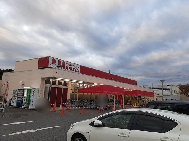 ホープヒルズの周辺|スーパーマルヤ　沼南店まで1055m