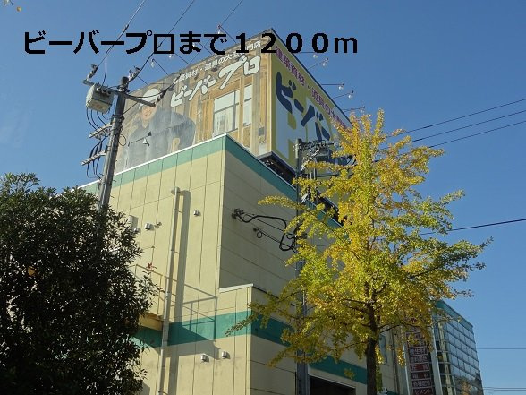 サンライズⅠの周辺|ビーバープロまで1200m