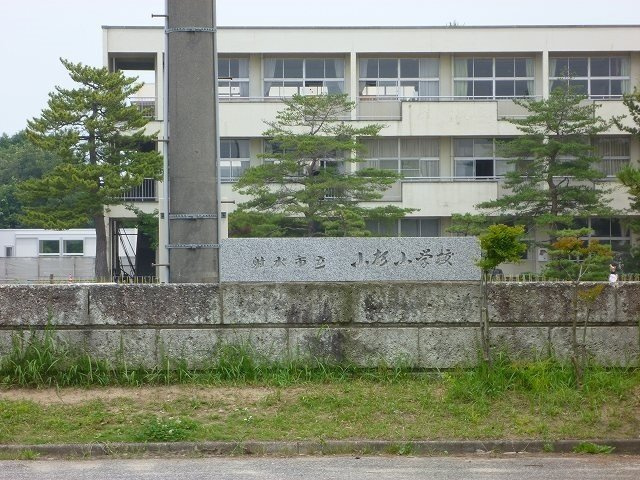 ラ　ルーチェの周辺|小杉小学校まで1200m
