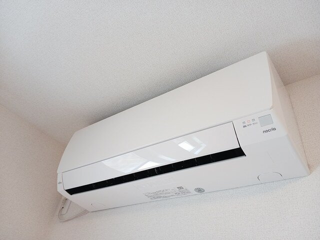 プラシード．Ｓのその他