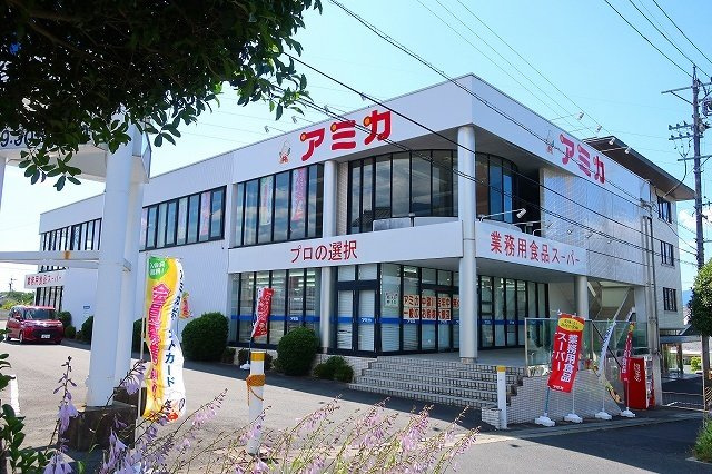 プラシード．Ｓの周辺|アミカまで1600m