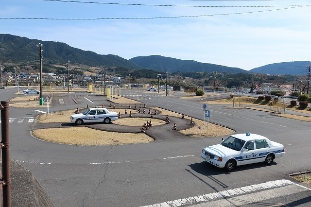 サンリットＭ’ｓの周辺|東農自動車学校まで750m