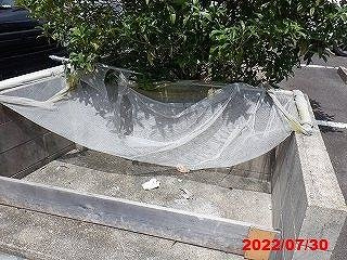 レオパレス裕のその他