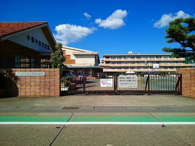 グリーンハイツの周辺|一宮市立　小信中島小学校まで650m