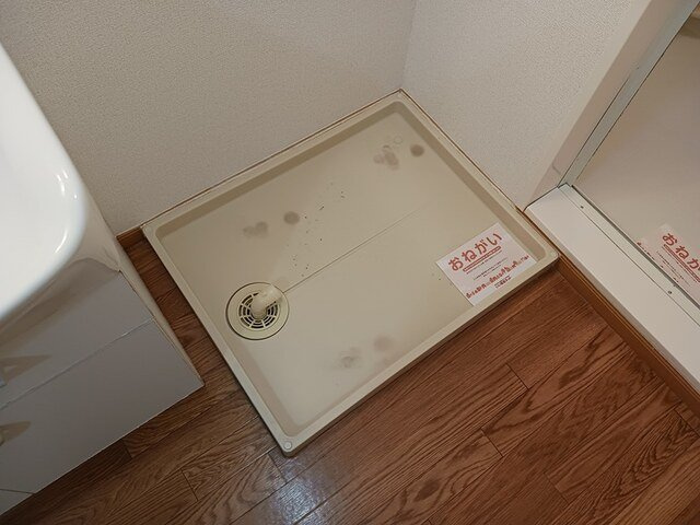 サクシードのその他