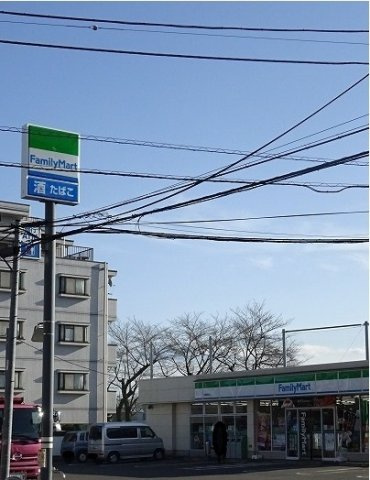 メゾン　ド　ローズ・ガーデンの周辺|ファミリーマート昭島緑町店まで700m