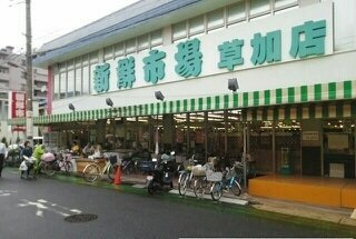 ゴールド・マウンテンの周辺|新鮮市場まで650m
