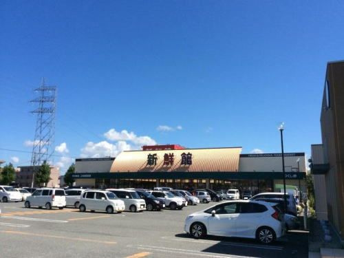 チェリーツリーやえ　Ⅱのその他