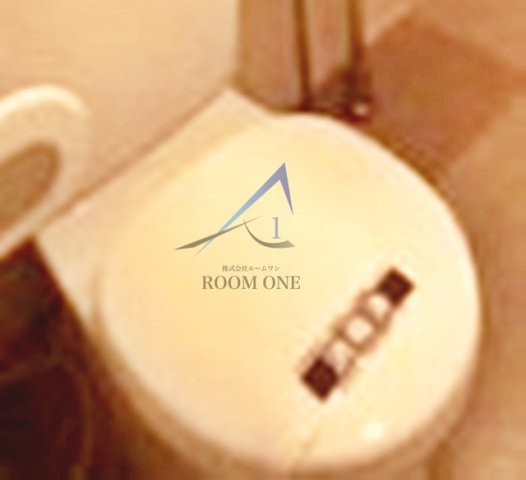 プレール・ドゥーク北新宿のトイレ|トイレです。