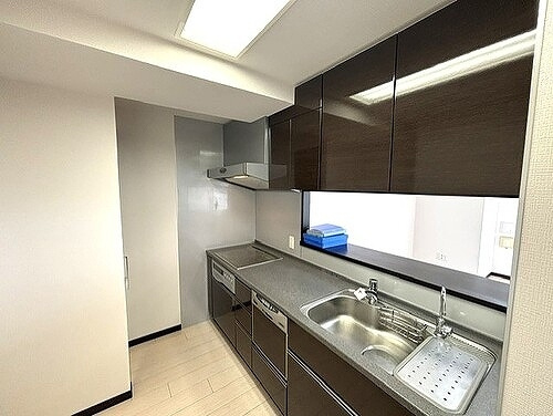 ライオンズタワー岡山表町のキッチン