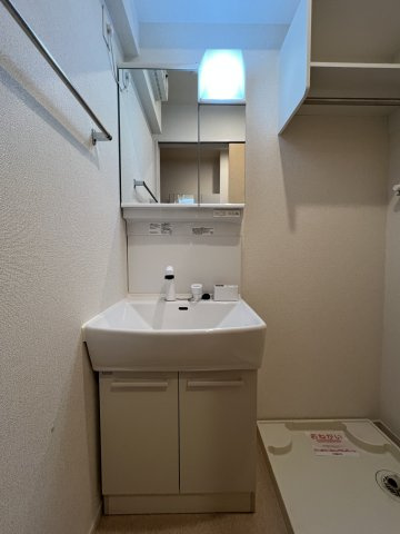 サピーⅤの洗面所