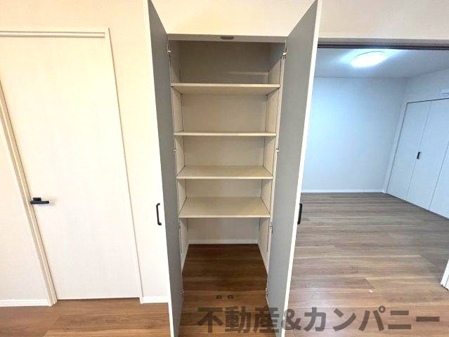 エイルマンション岩崎プレジデンスの収納|ちょっとした収納スペースも充実しています