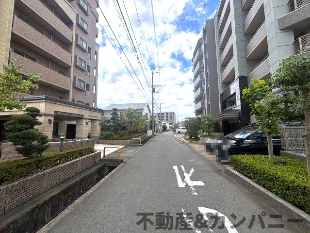 エイルマンション岩崎プレジデンスの周辺|前面を含む道路です