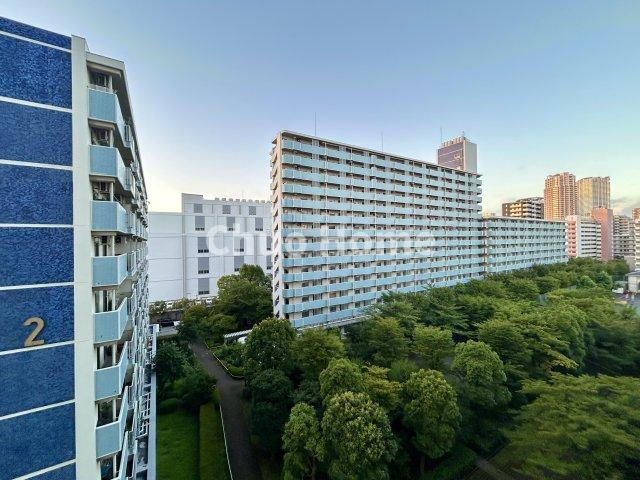 越中島三丁目ハイツ3号棟の展望|眺望