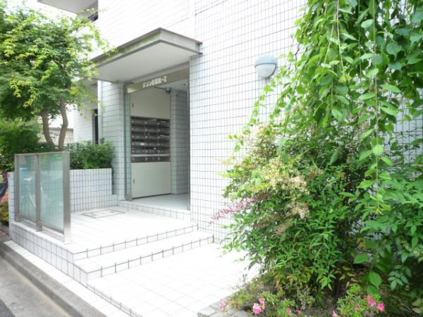 メゾン美羅樹ＩＩのエントランス|清潔なエントランスです