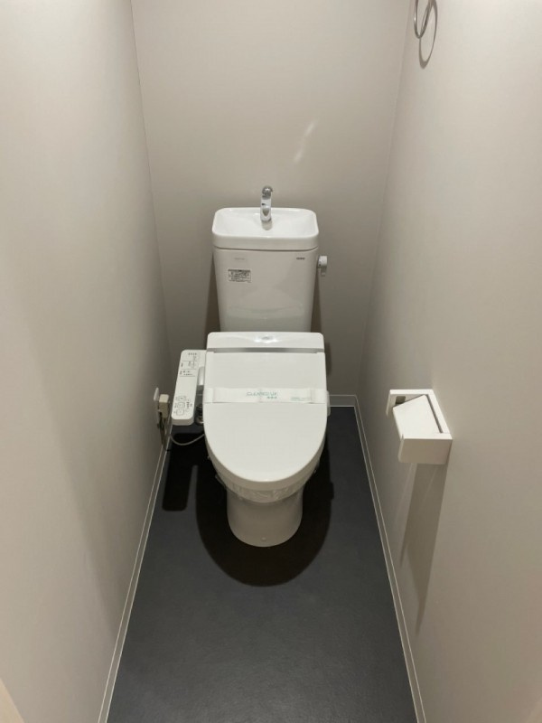 アレーゼ東浦和のトイレ|落ち着いたトイレです