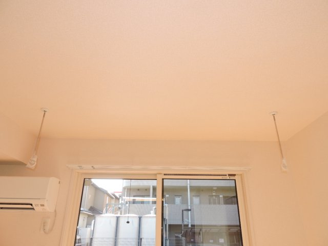 ハチケンのその他