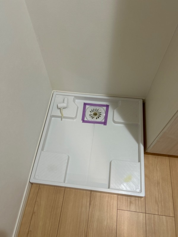 ＤＯＥＬのその他