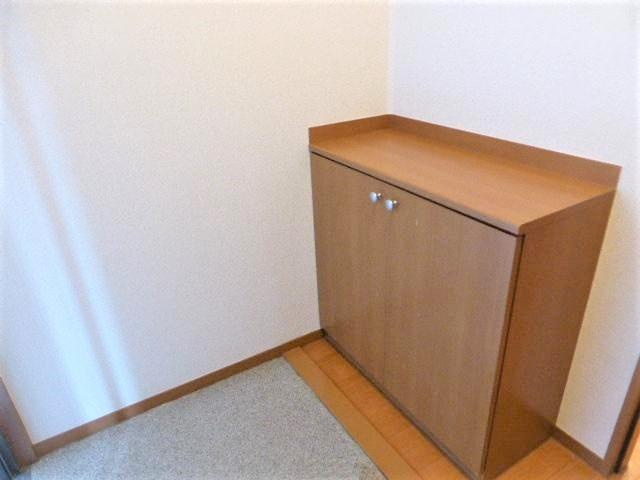 グランドガーデンＯＭＩＹＡの玄関|収納もある玄関です