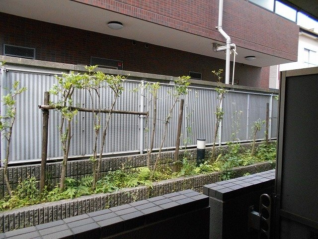 ルーブル渋谷松濤の展望