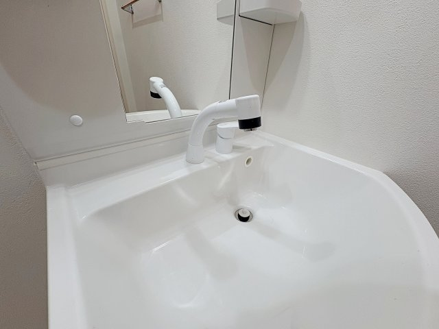 フジパレス宝塚小林Ⅲ番館の洗面所