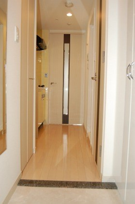 プレサンス難波リバーオアシスの玄関