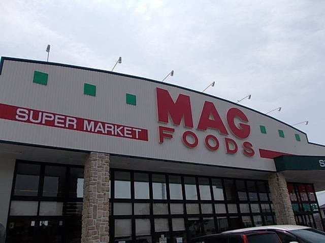 ハーヴェストⅠの周辺|マグフーズ中島店まで1300m