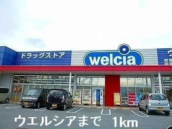 【周辺】 | レクシオーレ | ウエルシアまで1000m
