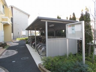 【その他】 | アマリーラパレッド
