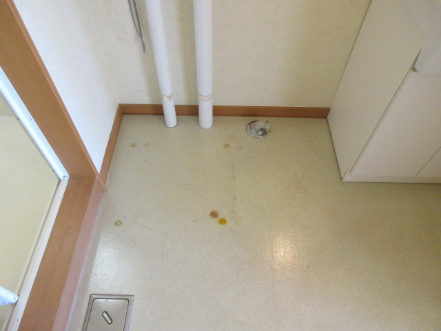 Y‘sFIELDのその他