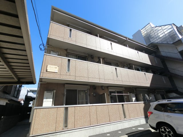 プランドール樹の画像