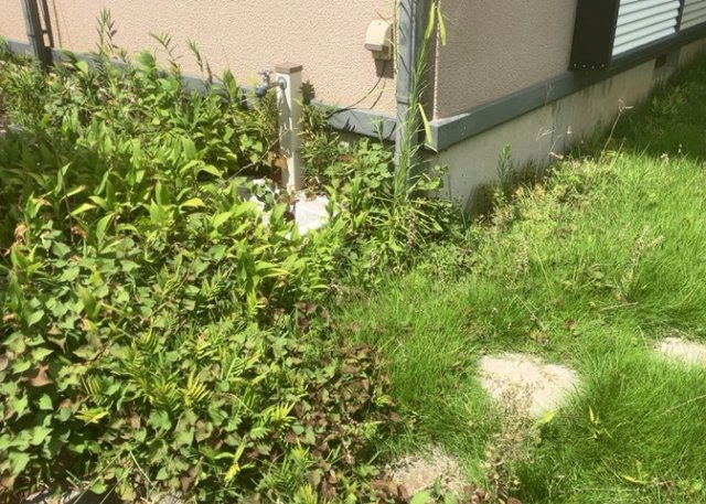 【設備】 | 敷地内に散水栓や立水栓があると便利です。水道水を直接利用できるため、水を運ぶ手間を省くことが出来ます。大量の水を必要とする洗車作業や清掃などに役立ちます。その他設備とあわせて、現地でご確認ください。