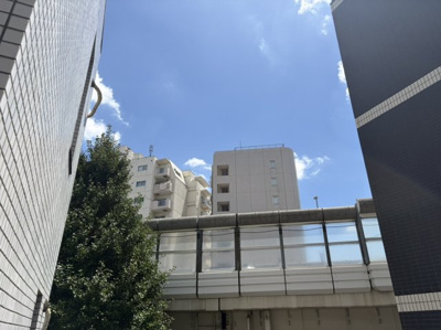 【展望】