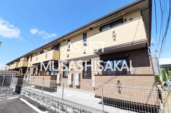 マグノリア