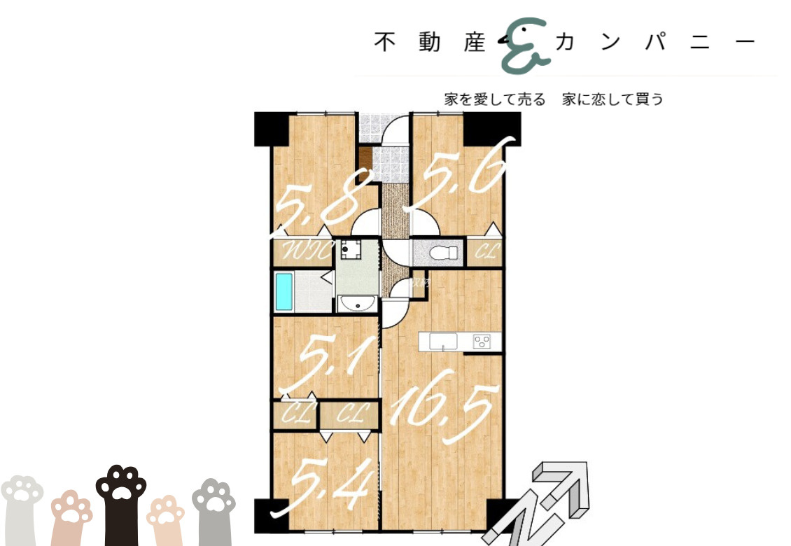 サーパス衣山壱番館の間取り