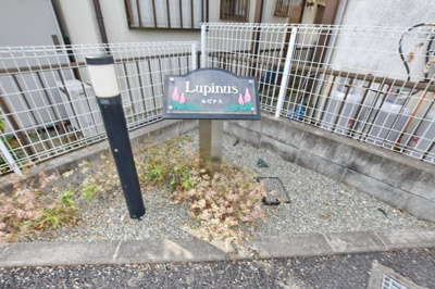 【庭】 | ルピナス