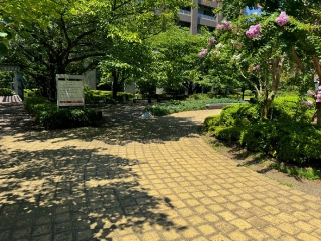 【その他】 | 晴海アイランドトリトンスクエアビュータワー