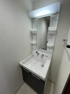 ソレイユスカイツリーの独立洗面台