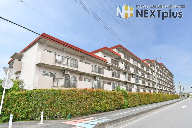 蓮田ビューパレーA棟