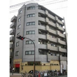 タートルヒルズの画像