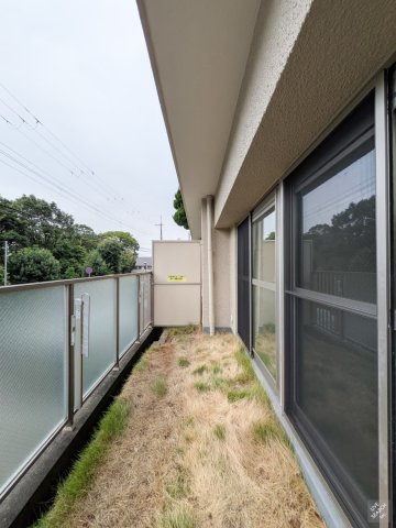 岡本パークマンションの庭