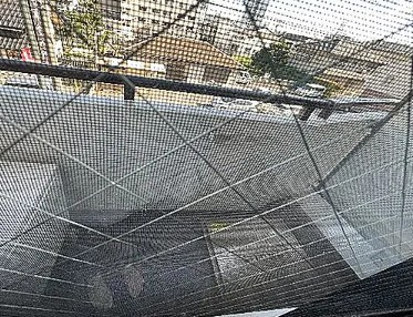 ラレーブ津田沼Ⅳのバルコニー
