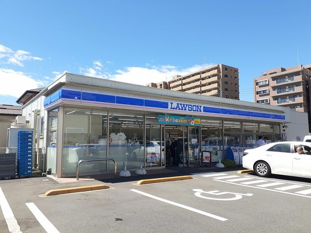 ジューンベリーの周辺