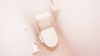 落ち着いた色調のトイレです