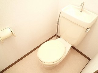 落ち着いた色調のトイレです