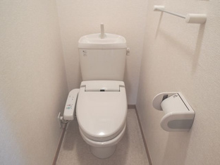 落ち着いた色調のトイレです