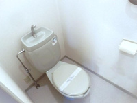 落ち着いた色調のトイレです