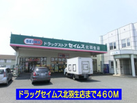ドラッグセイムス北羽生店まで460m