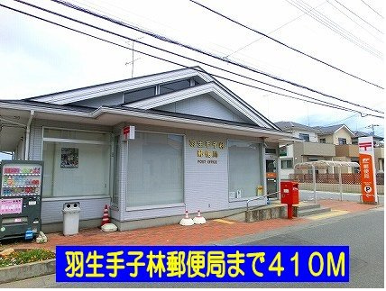 羽生手子林郵便局まで410m
