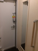 落ち着いた玄関です